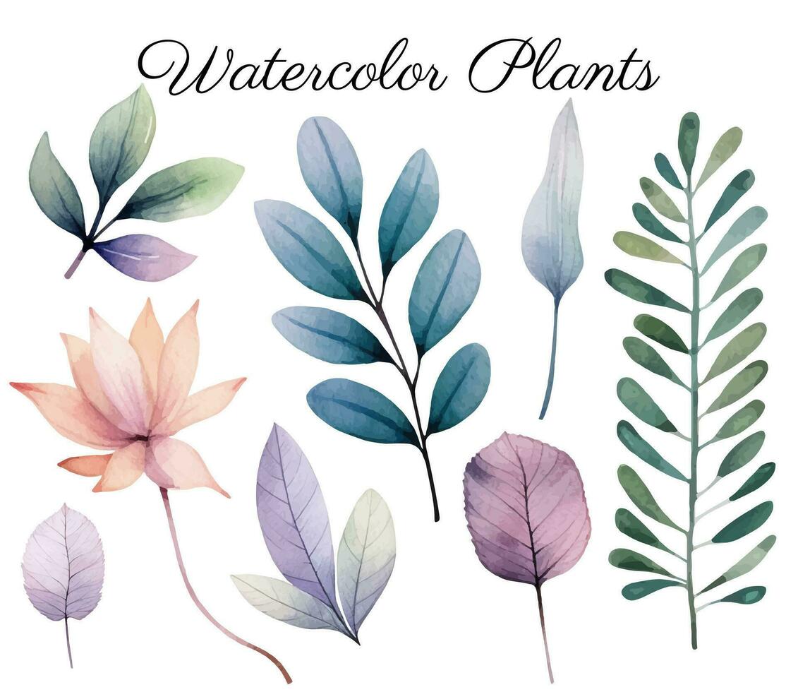 Watercolor botanical set. Delicate watercolor plants for wedding invitations, posters. Vector plants pastel colors.