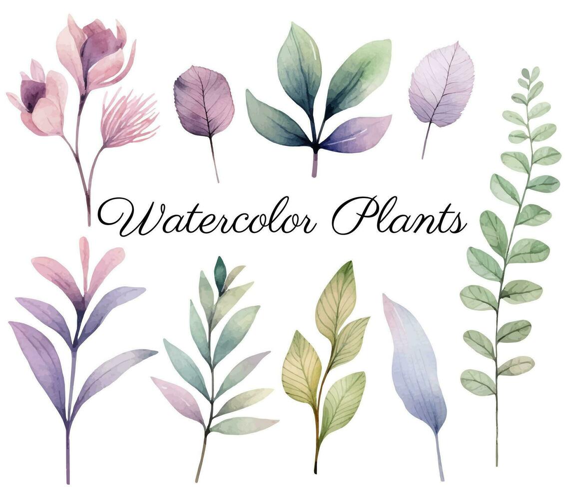 Watercolor botanical set. Delicate watercolor plants for wedding invitations, posters. Vector plants pastel colors.