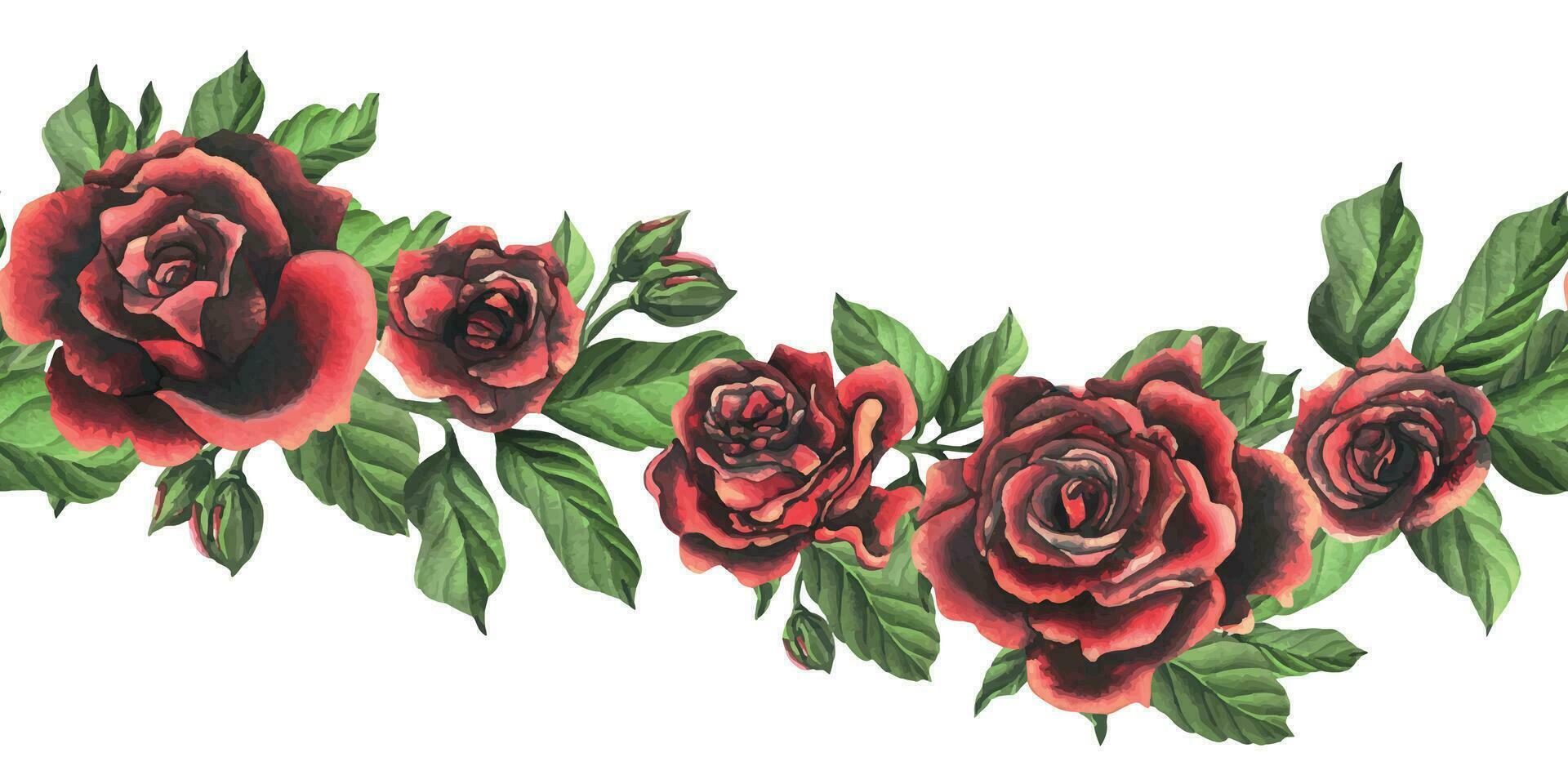 Redblack rose flowers with green leaves and buds, chic, bright, beautiful. Hand drawn watercolor illustration. Seamless border a white background, for decoration and design. vector