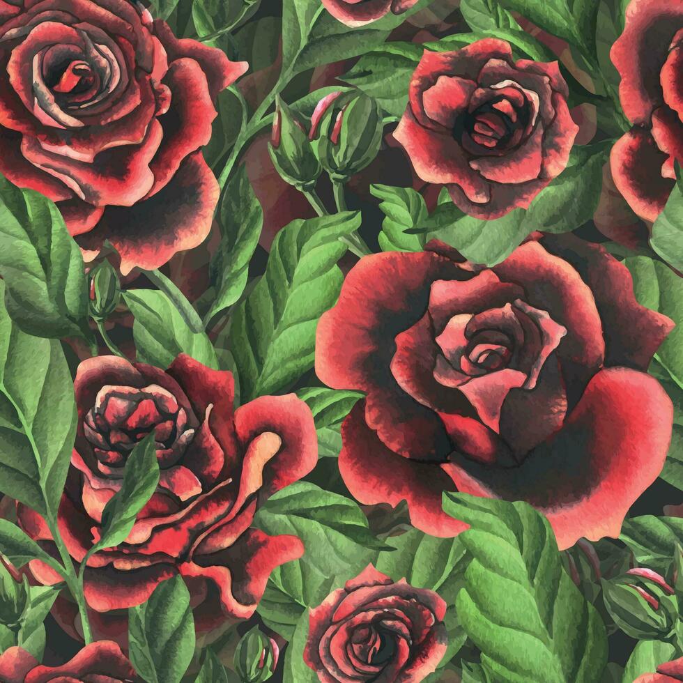 negro rojo Rosa flores con verde hojas y brotes, elegante, brillante, hermosa. mano dibujado acuarela ilustración. sin costura modelo en un oscuro fondo, para decoración y diseño. vector