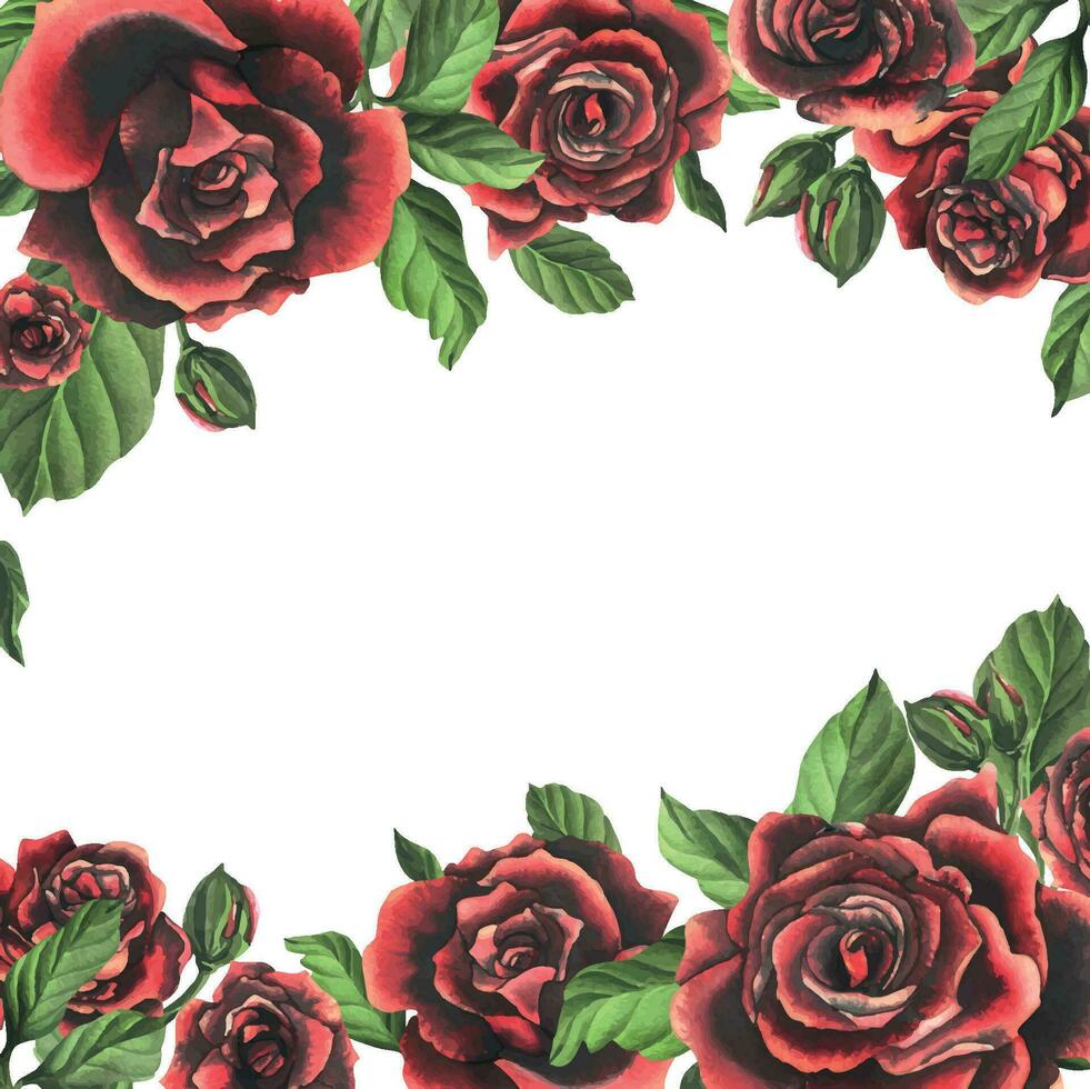 negro rojo Rosa flores con verde hojas y brotes, elegante, brillante, hermosa. mano dibujado acuarela ilustración. modelo en un blanco fondo, para decoración y diseño vector