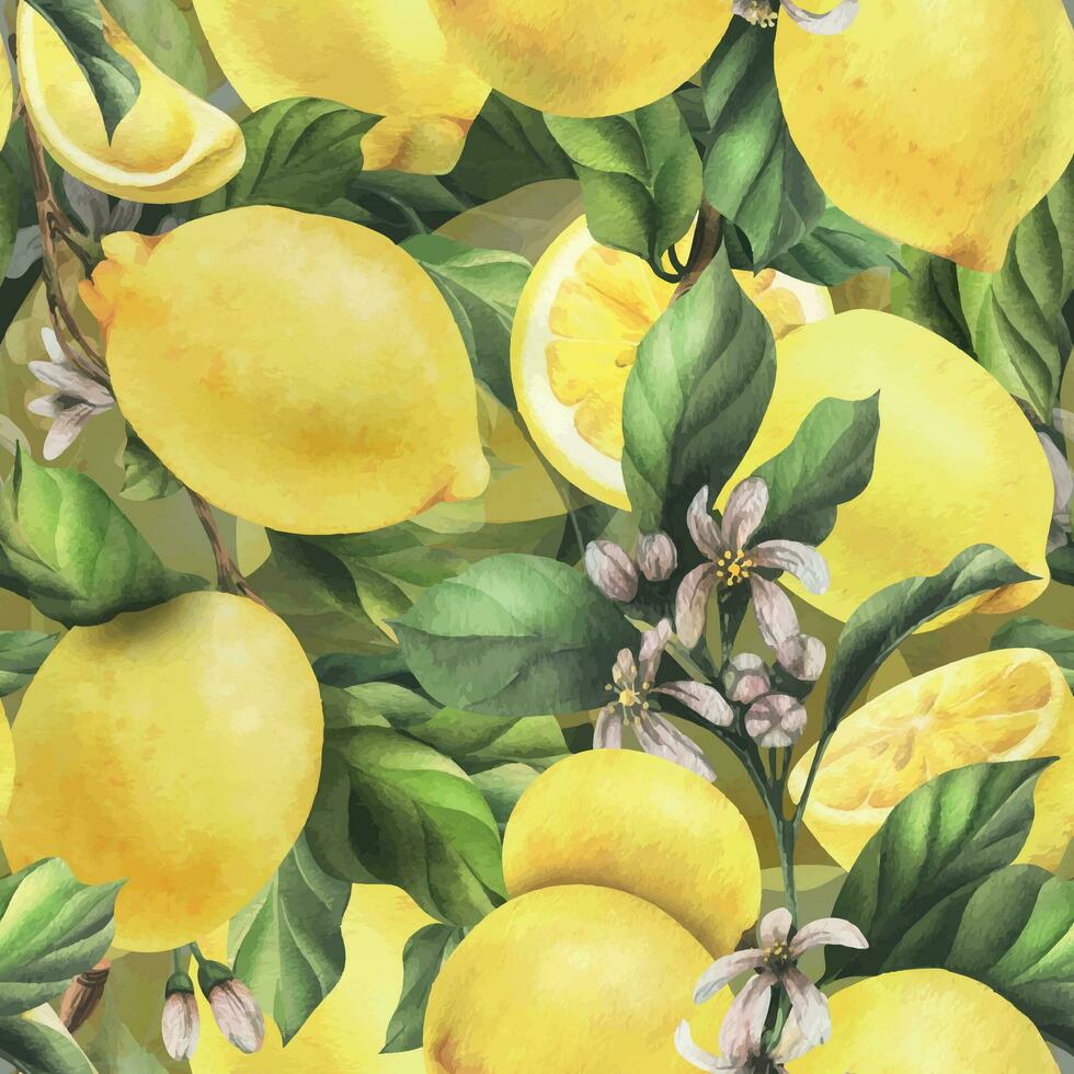 Lemons are yellow, juicy, ripe with green leaves, flower buds on the branches, whole and slices. Watercolor, hand drawn botanical illustration. Seamless pattern on a white background. vector