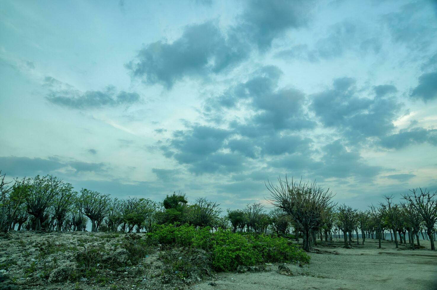 Gili Ketapang Island, Probolinggo, Indonesia photo