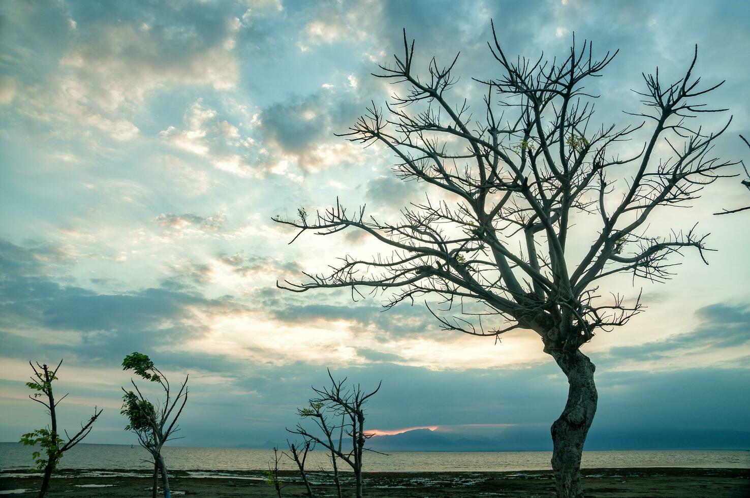 Sunrise at Gili Ketapang Island, Indonesia photo