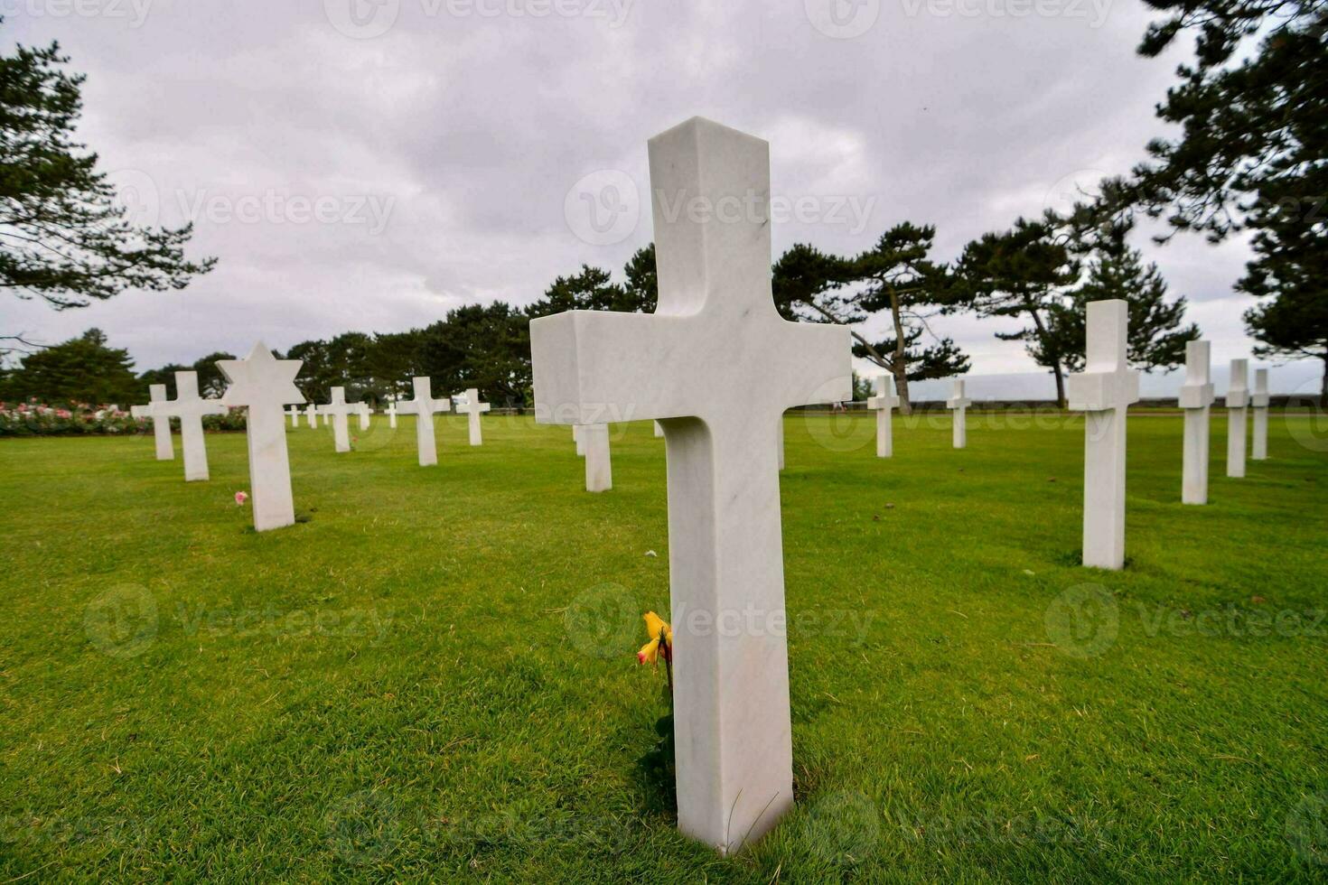 the white crosses in the grass at the american cemetery photo