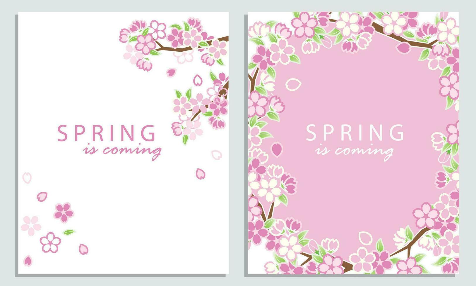 Set of sakura cards vector