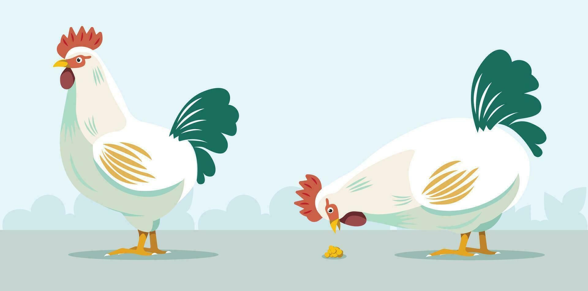 Cock. Hen. Rooster in two positions. vector