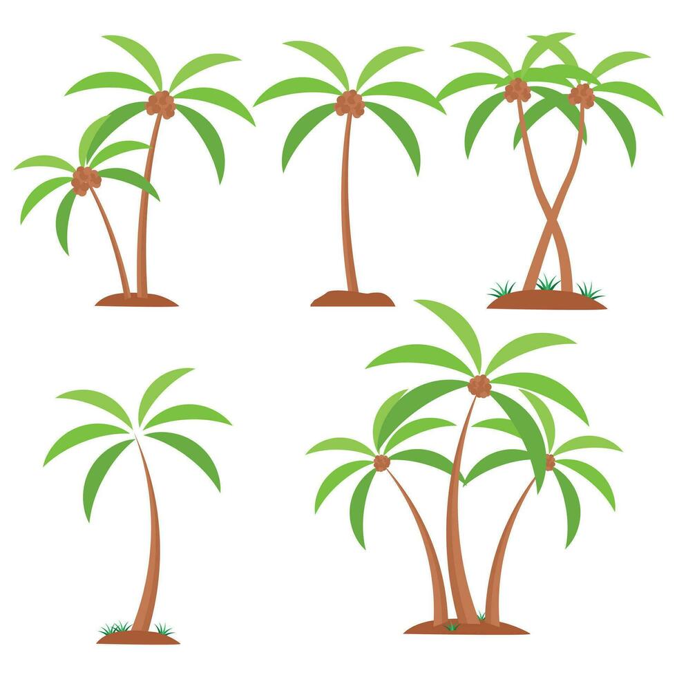 Coconut Tree Vector, Coconut Tree Illustrations, Coconut Tree clip art, Coconut Plant, Plant Silhouette, Tree Vector, Silhouette, outline vector, Summer, Summer Elements, Palm Tree, Summer holiday vector