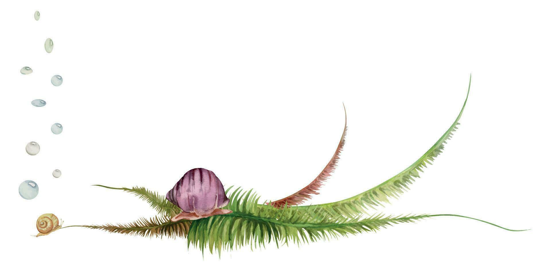 Hand drawn watercolor aquarium snail shell, algae and aquatic plants. Marine exotic underwater illustration. Isolated on white background. Design for shops, brochure, print, card, wall art, textile. vector