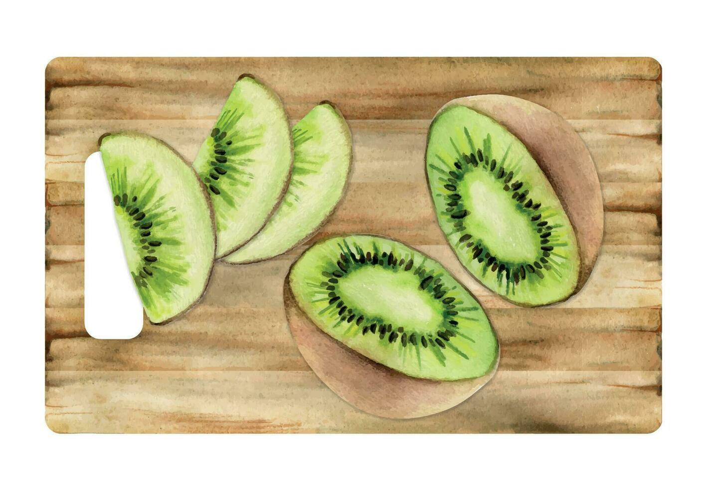 Hand drawn watercolor green kiwi fruit for diet and healthy lifestyle, salad vegan raw cooking. Illustration composition isolated on white background. Design for poster, print, website, card, menu vector