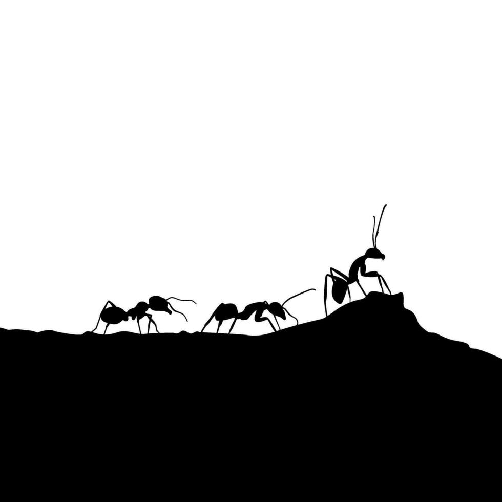 group of ants walk on the ground silhouette illustration vector