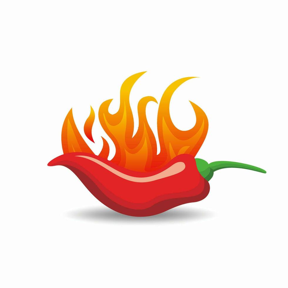 Red Hot Chili Pepper with Fire Illustration Design Template Vector