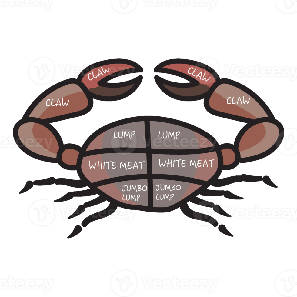 cuts of seafood diagram png