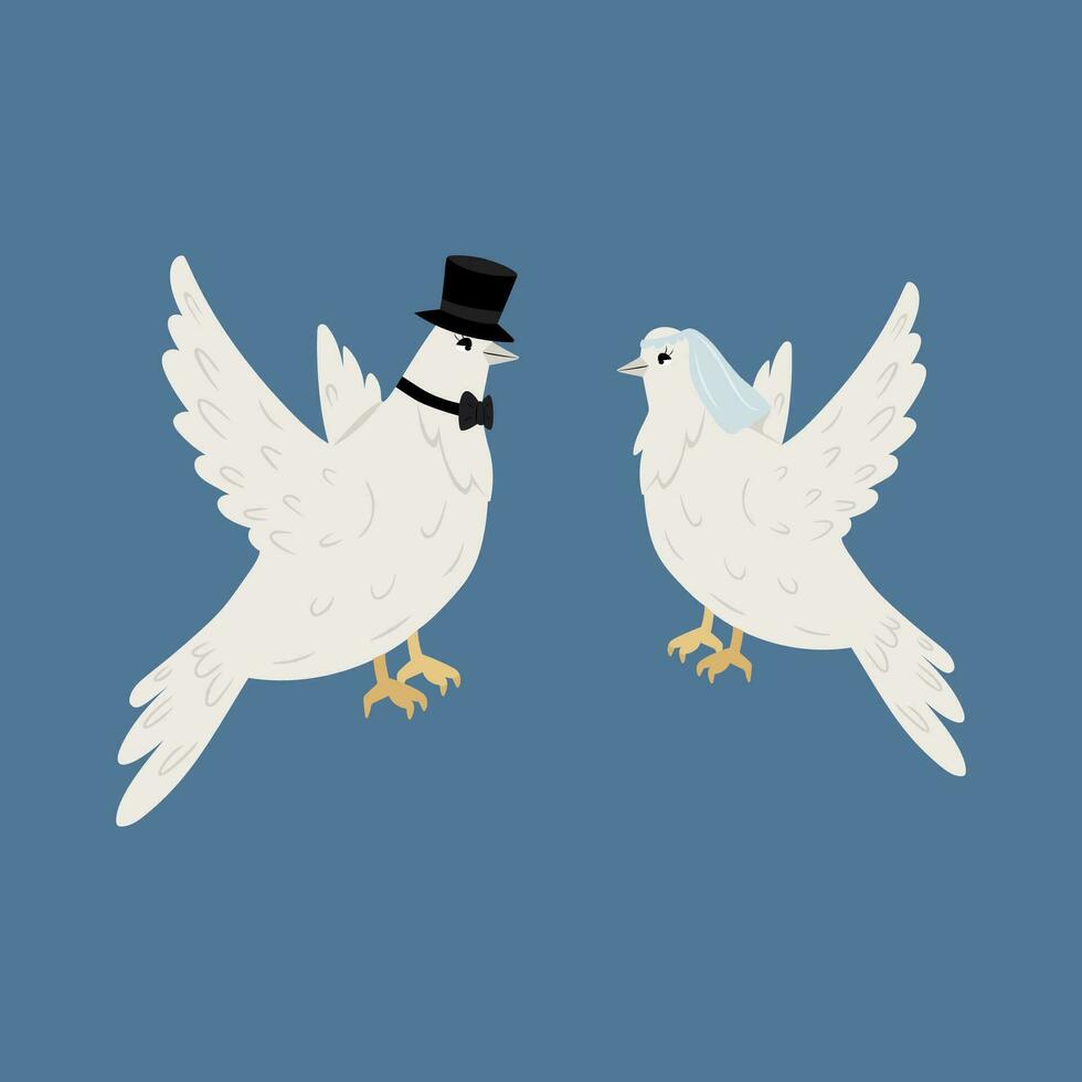 Two white doves in hat and veil on blue background vector