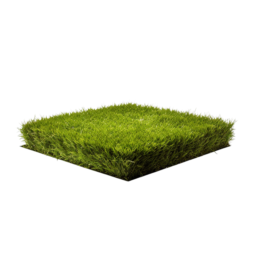 AI generated green grass land on transparent background PNG image