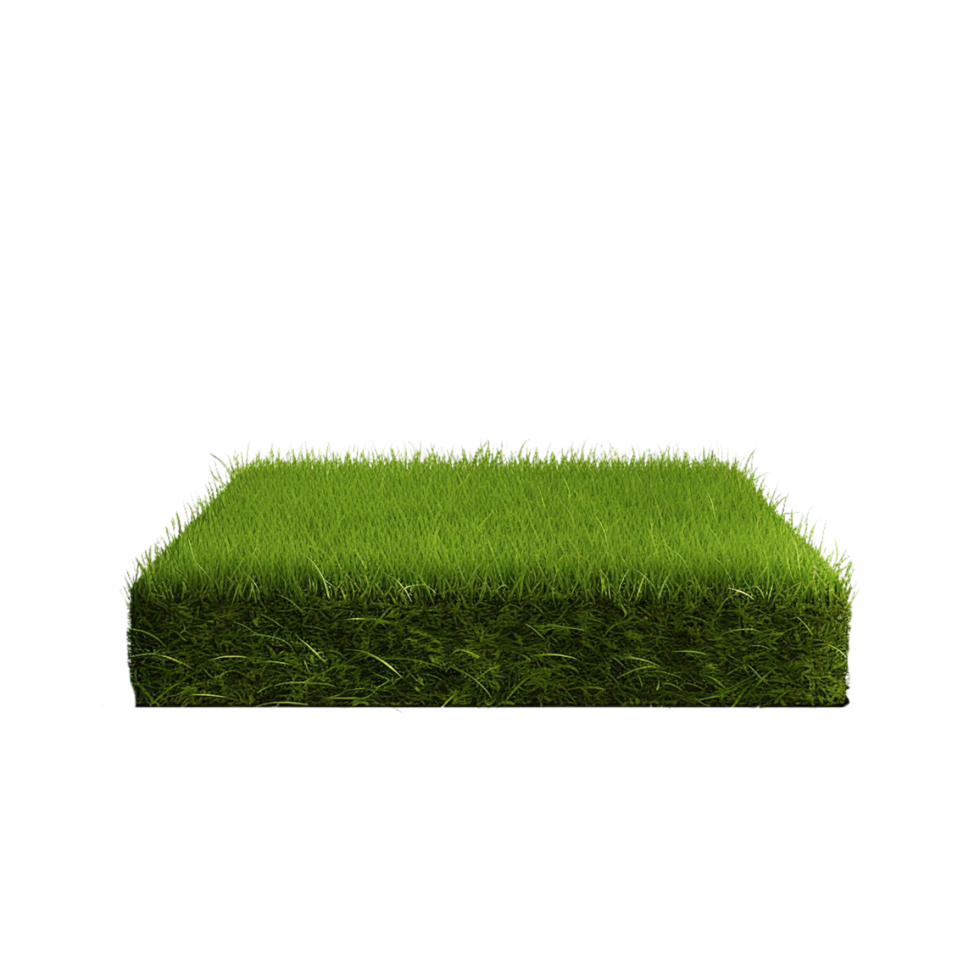 AI generated green grass land on transparent background PNG image