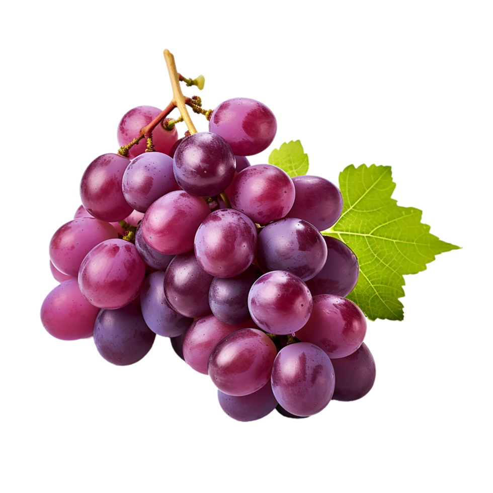 AI generated bunch of grapes on transparent background PNG image