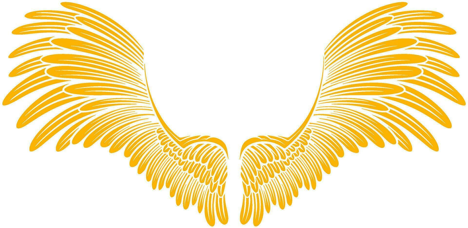 Vector artwork wings illustration