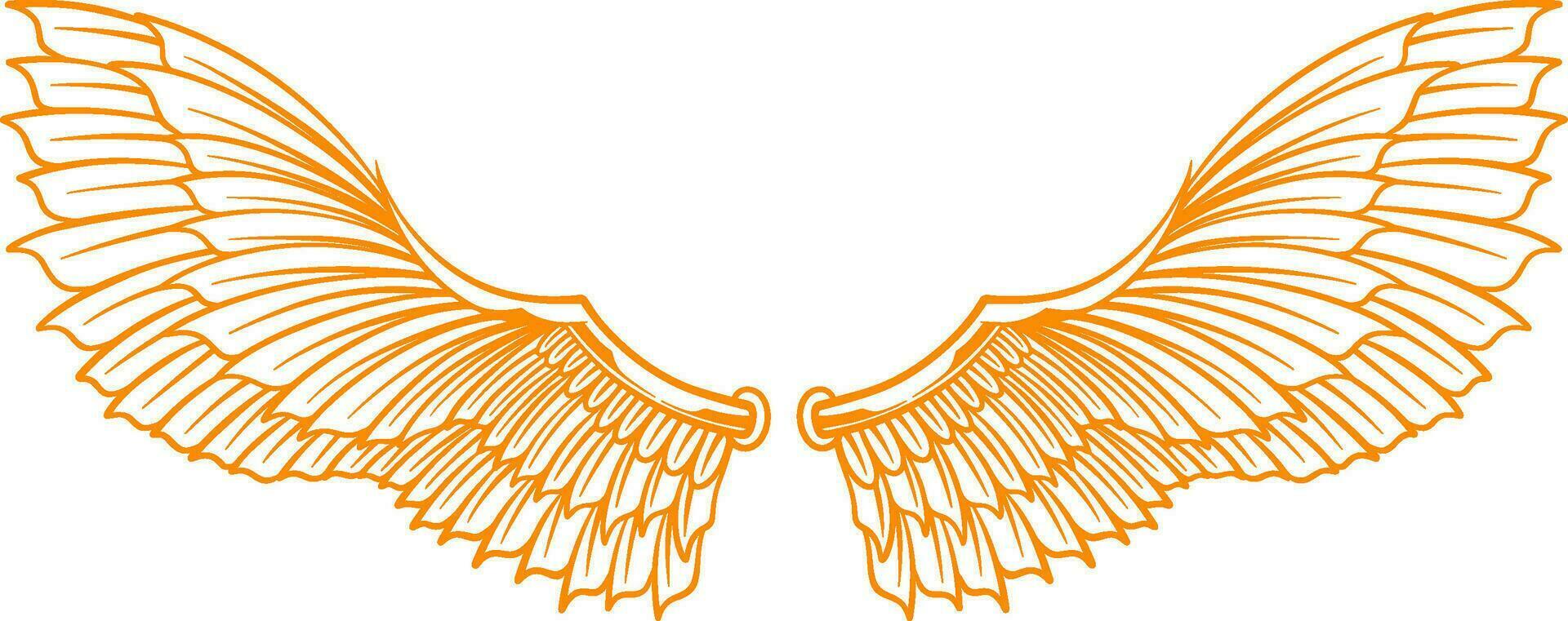 Vector artwork wings illustration