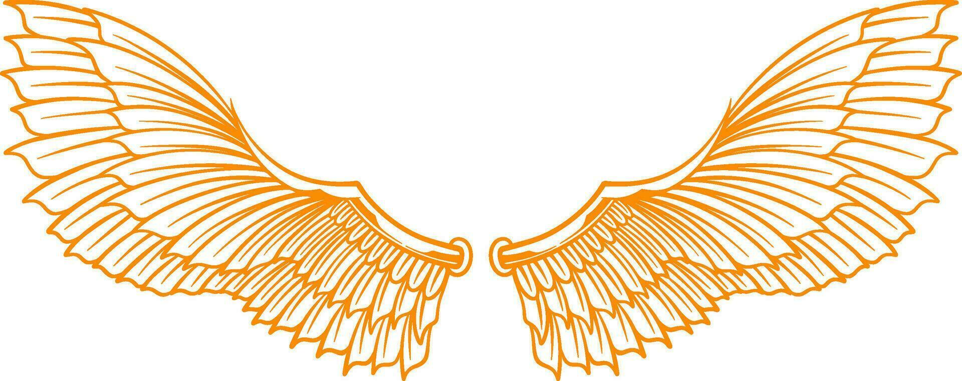 Vector artwork wings illustration