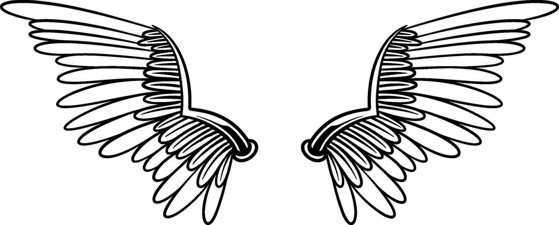 Vector artwork wings illustration