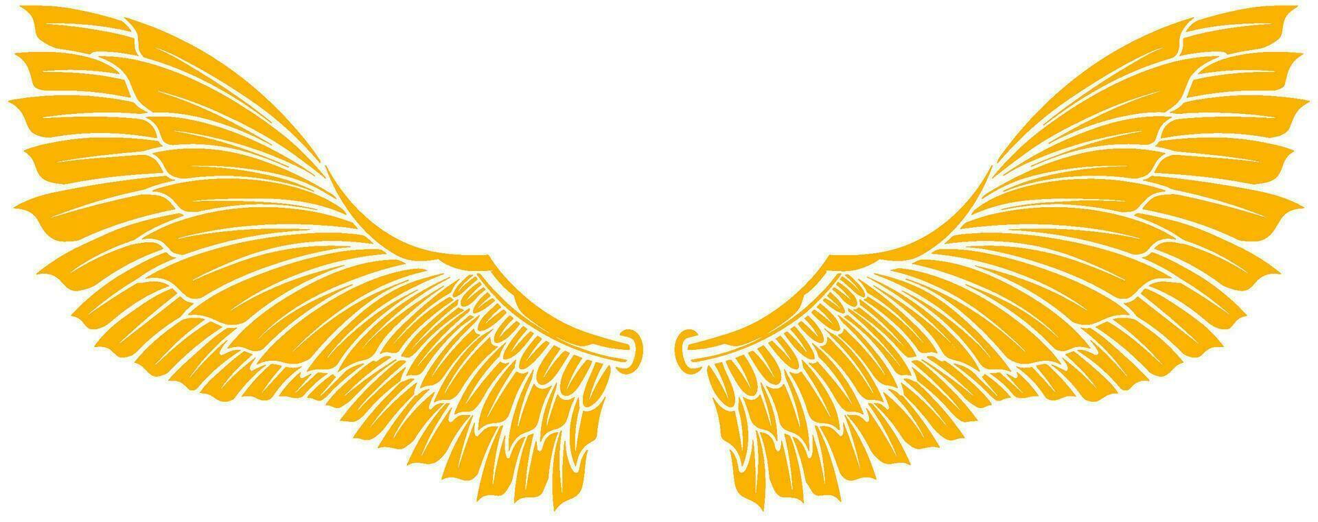 Vector artwork wings illustration