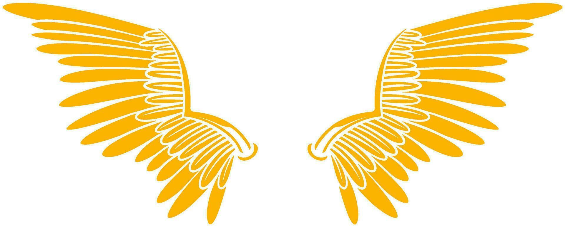Vector artwork wings illustration