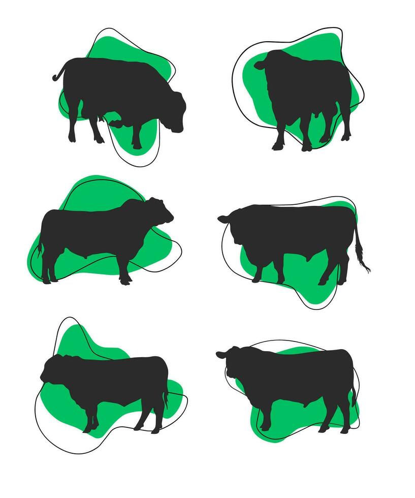 Aberdeen angus silhouettes, Aberdeen angus silhouette set vector