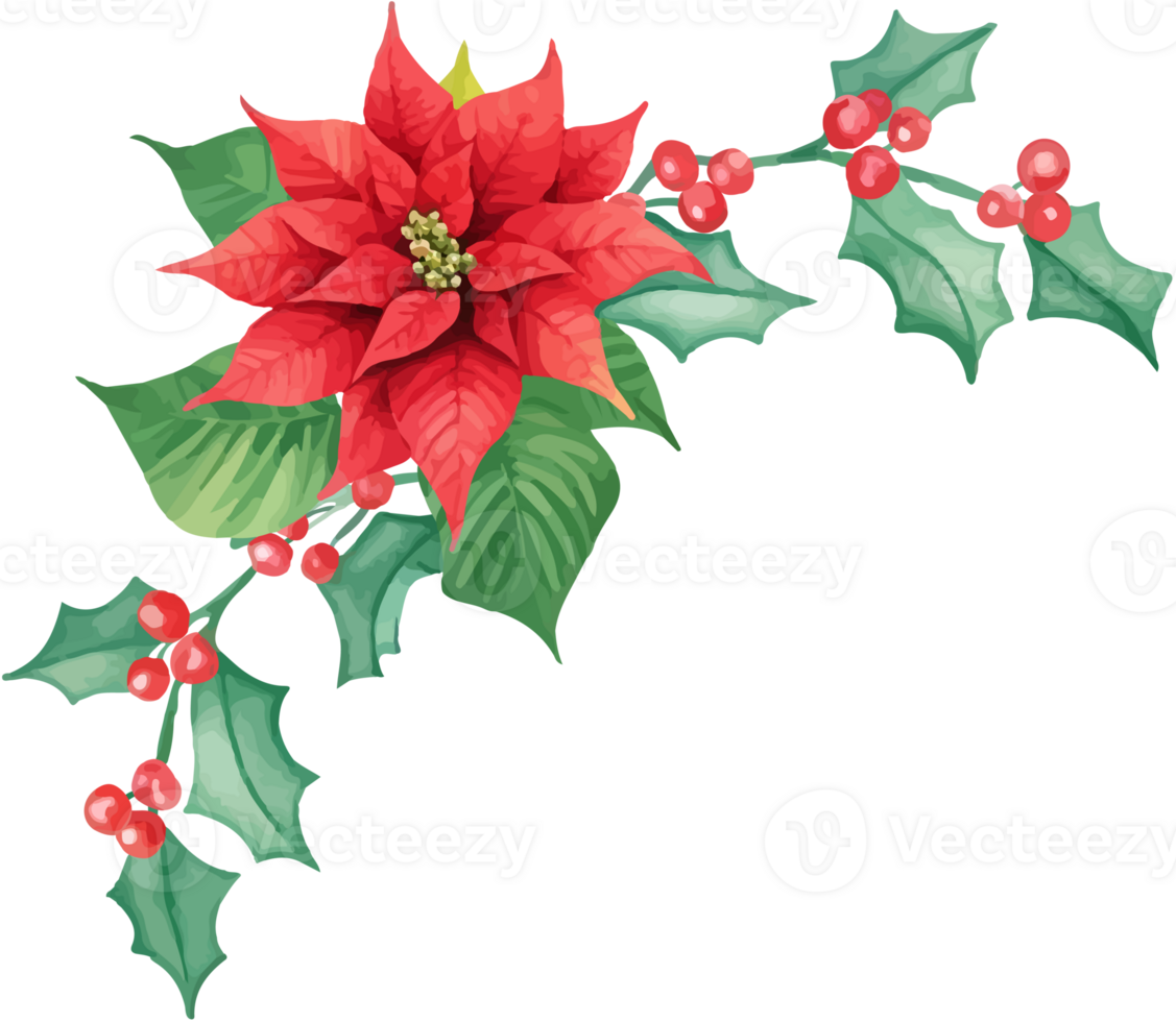 Christmas holly leaves and berries png