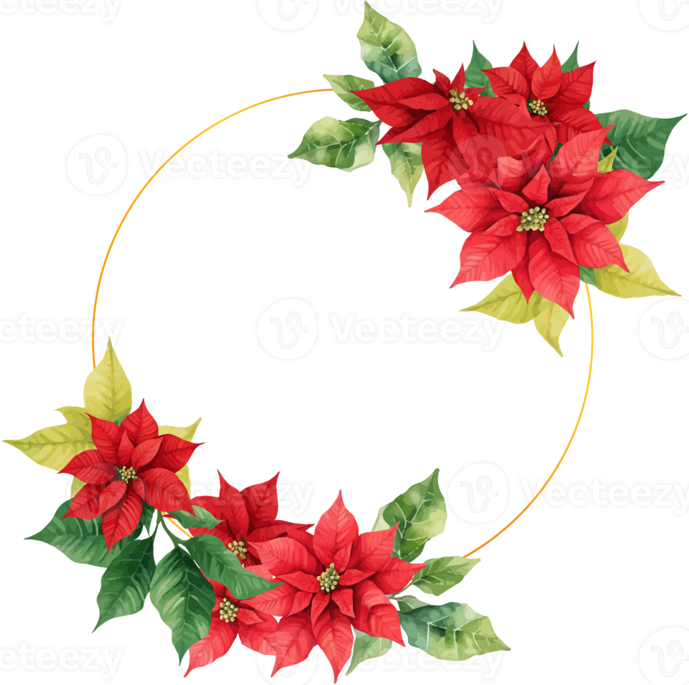 Christmas Watercolor Red Poinsettia Flowers With Gold Frame png