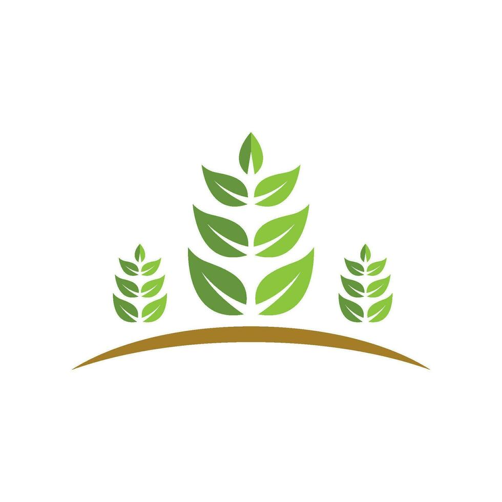 Logos of green Tree leaf ecology vector