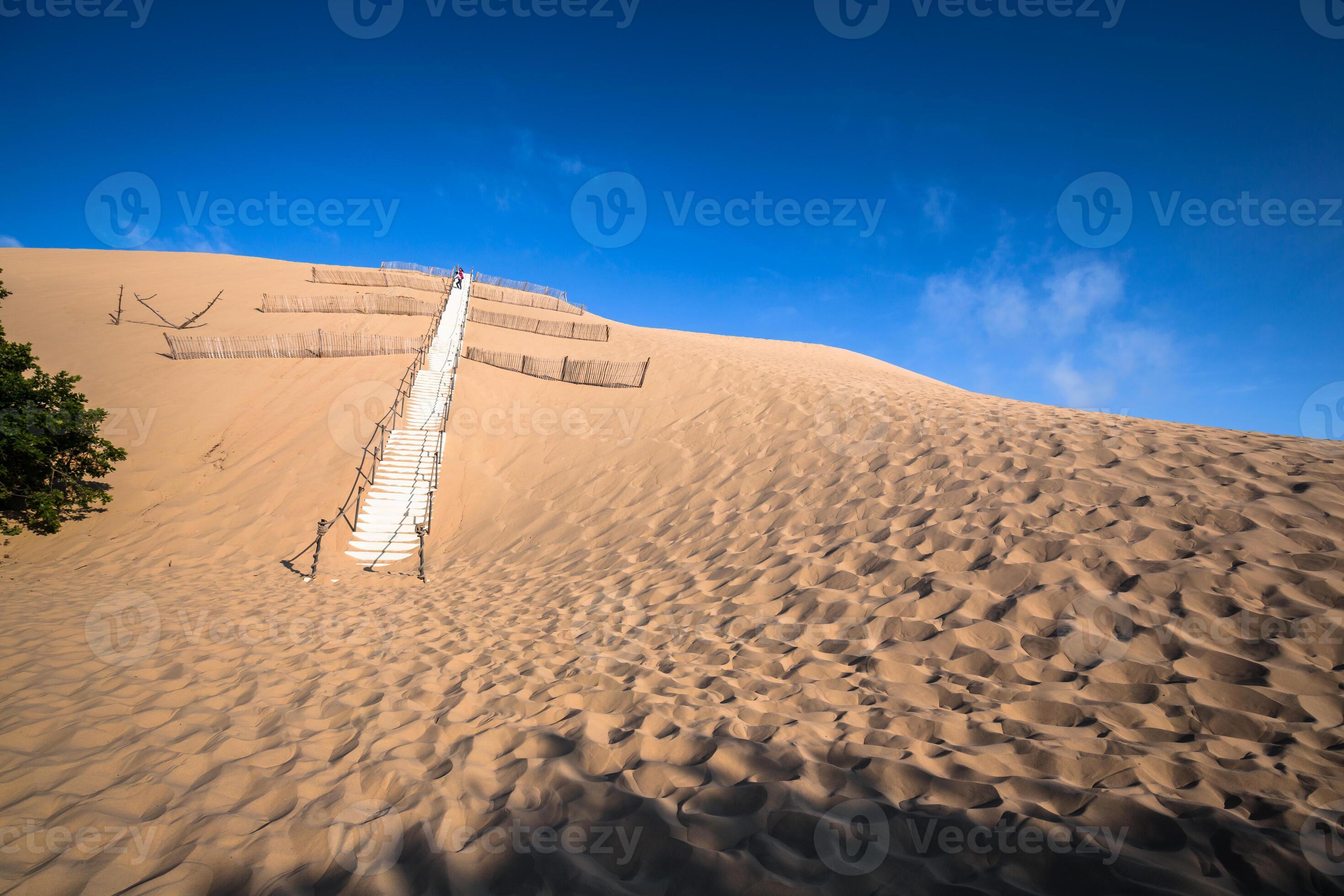 Dune du Pyla the largest sand dune in Europe, Aquitaine, France