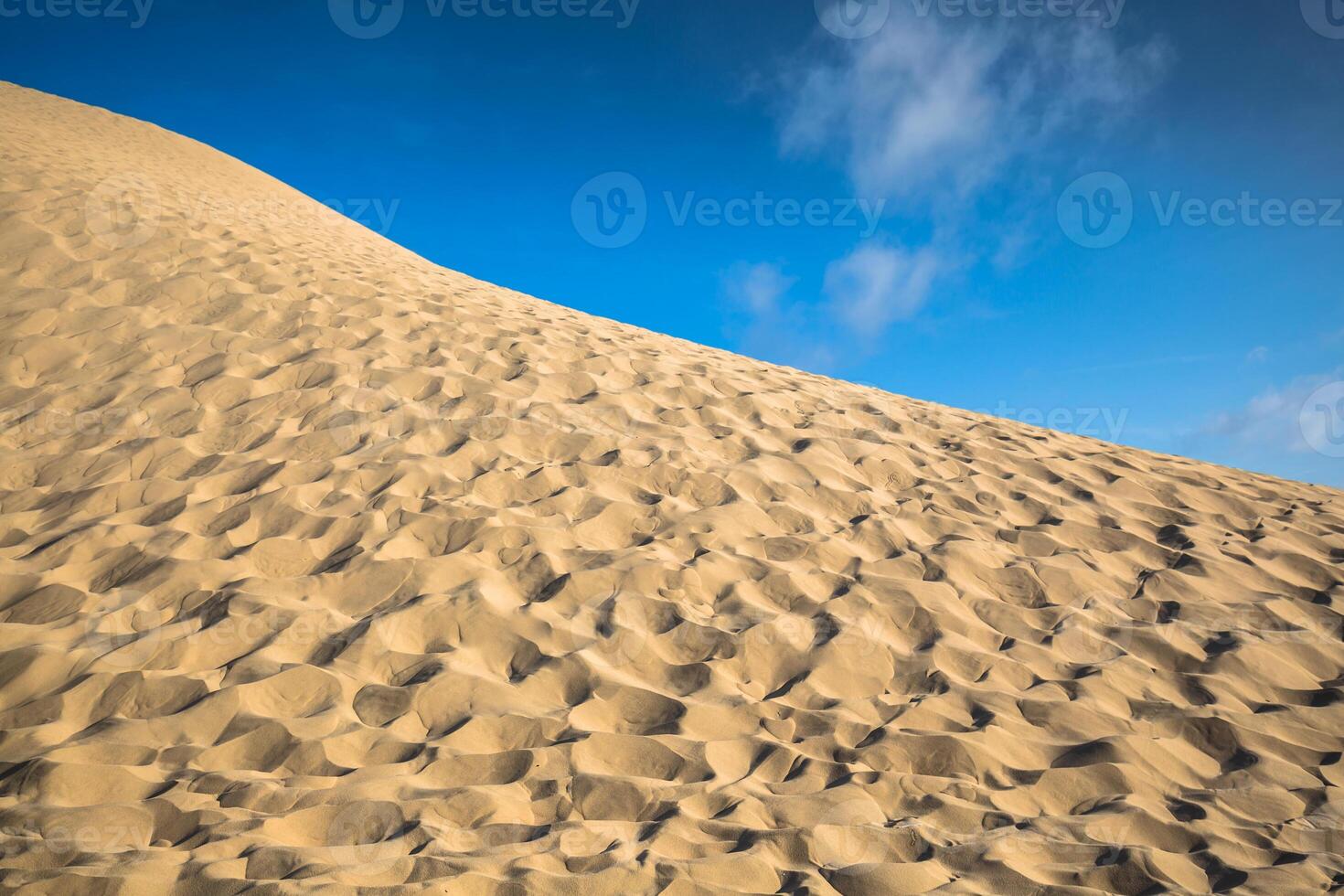 Dune du Pyla the largest sand dune in Europe, Aquitaine, France
