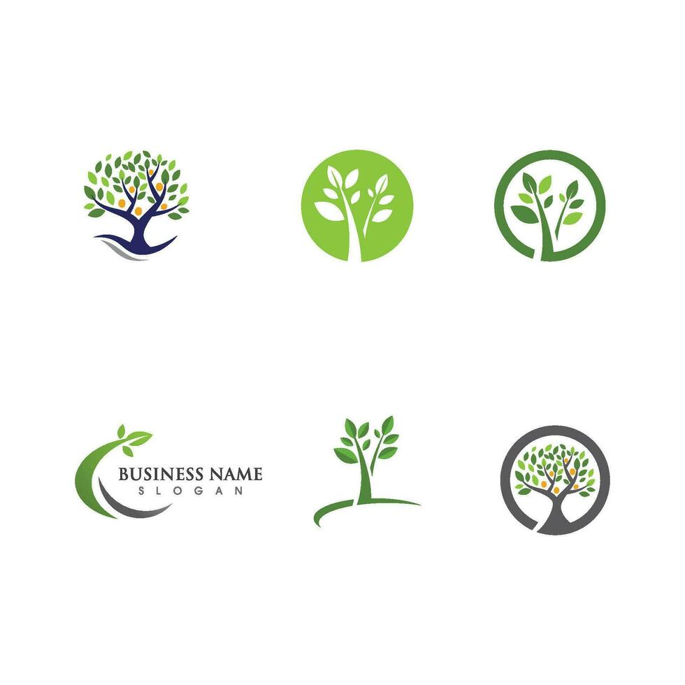 Logos of green Tree leaf ecology vector