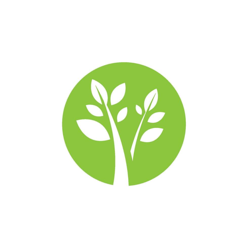 logotipos de la ecología de la hoja del árbol verde vector