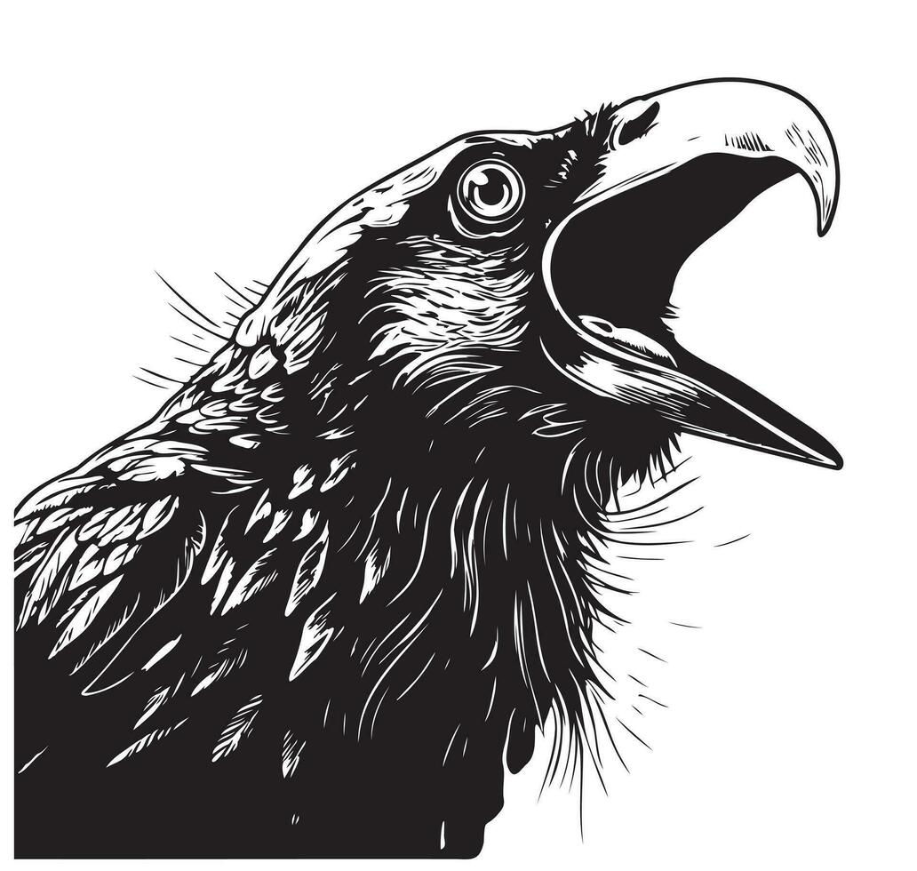 Angry Crow head sketch hand drawn Vector illustration Wild birds