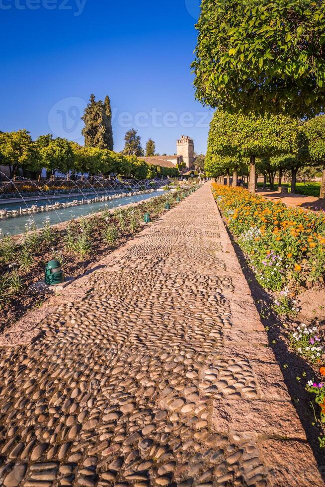 Gardens at the Alcazar de los Reyes Cristianos in Cordoba, Spain photo