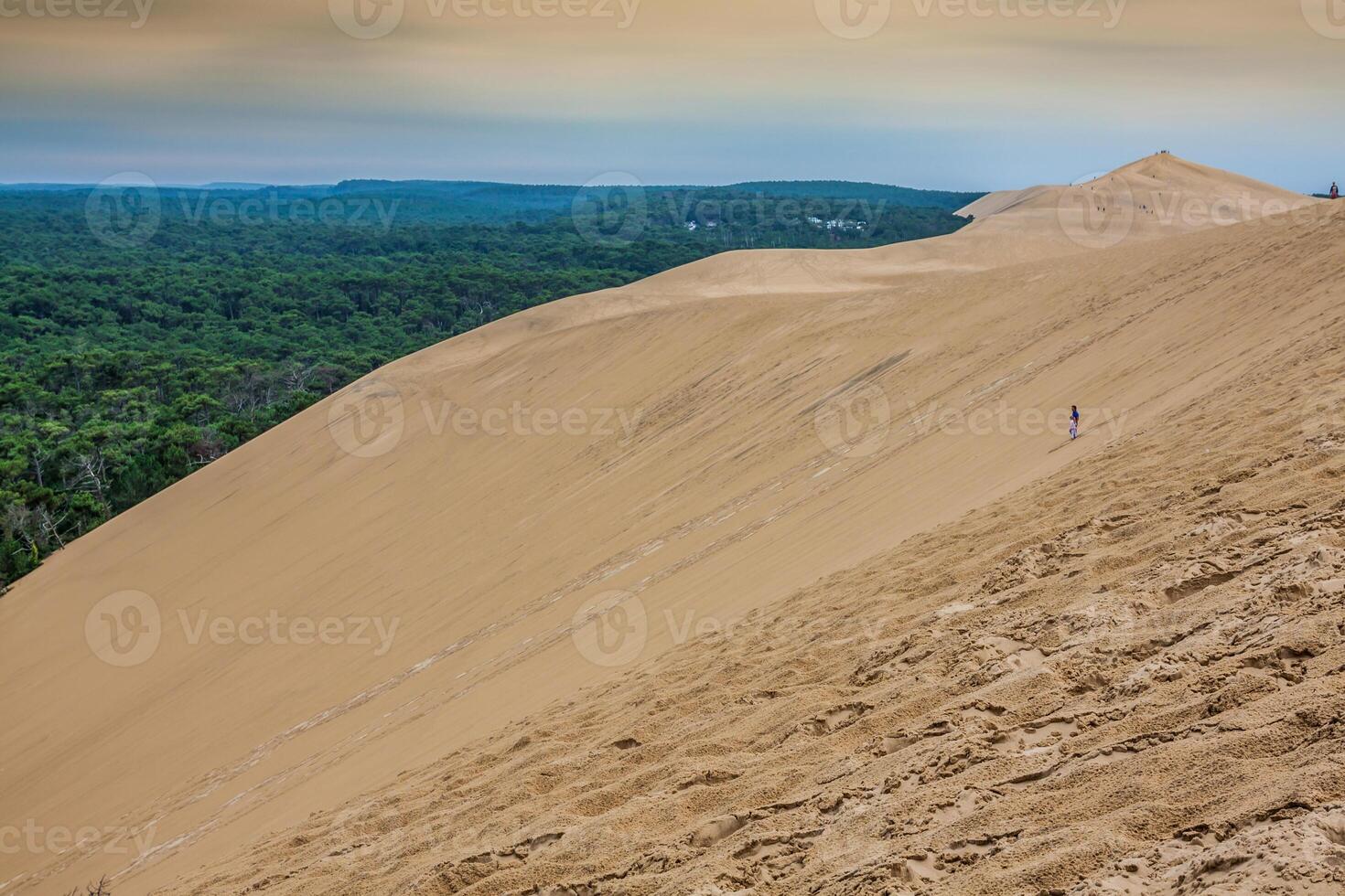 View from Dune of Pilat - the largest sand dune in Europe, Aquitaine, France photo