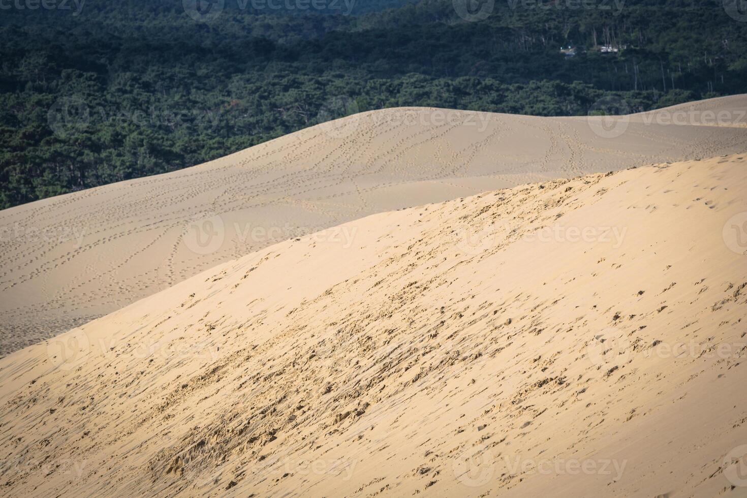 genial duna de pila, el más alto arena duna en Europa, arcachón bahía, Francia foto