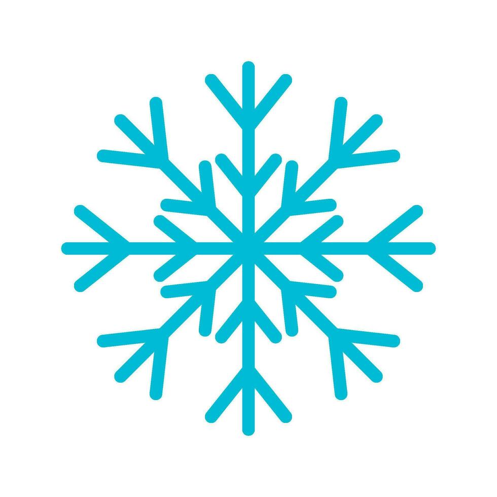 snowflake icon, ornament vector