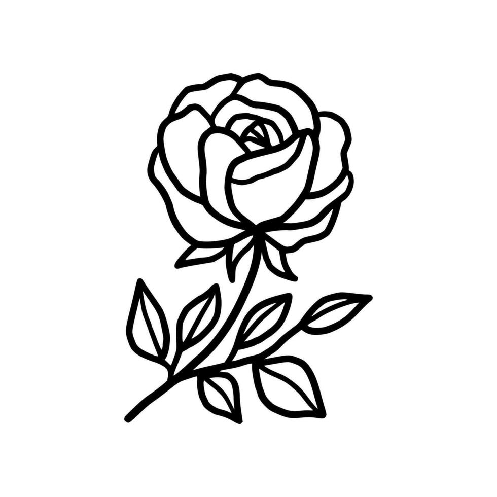 Vintage hand drawn rose floral and leaf branch vector line art illustration