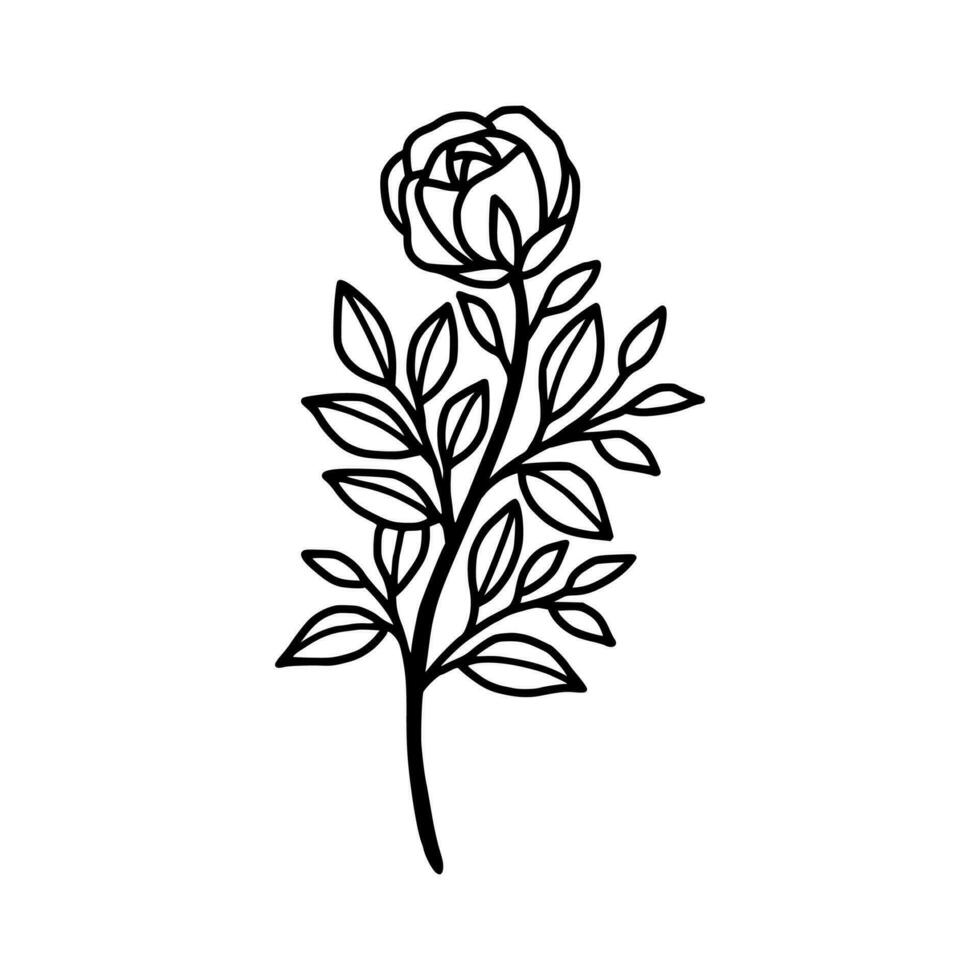 Vintage hand drawn rose floral and leaf branch vector line art illustration