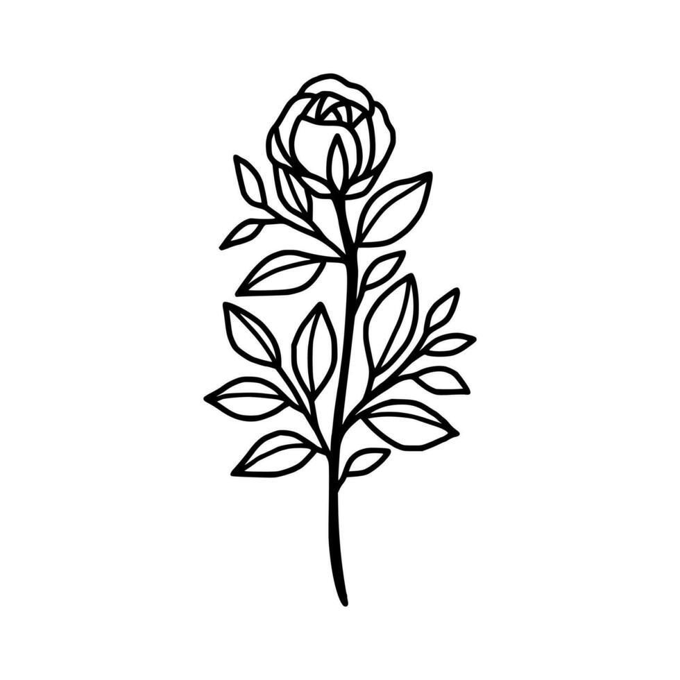 Vintage hand drawn rose floral and leaf branch vector line art illustration