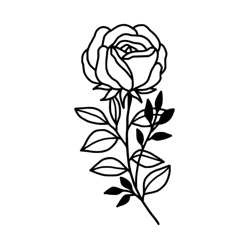 Vintage hand drawn rose floral and leaf branch vector line art illustration