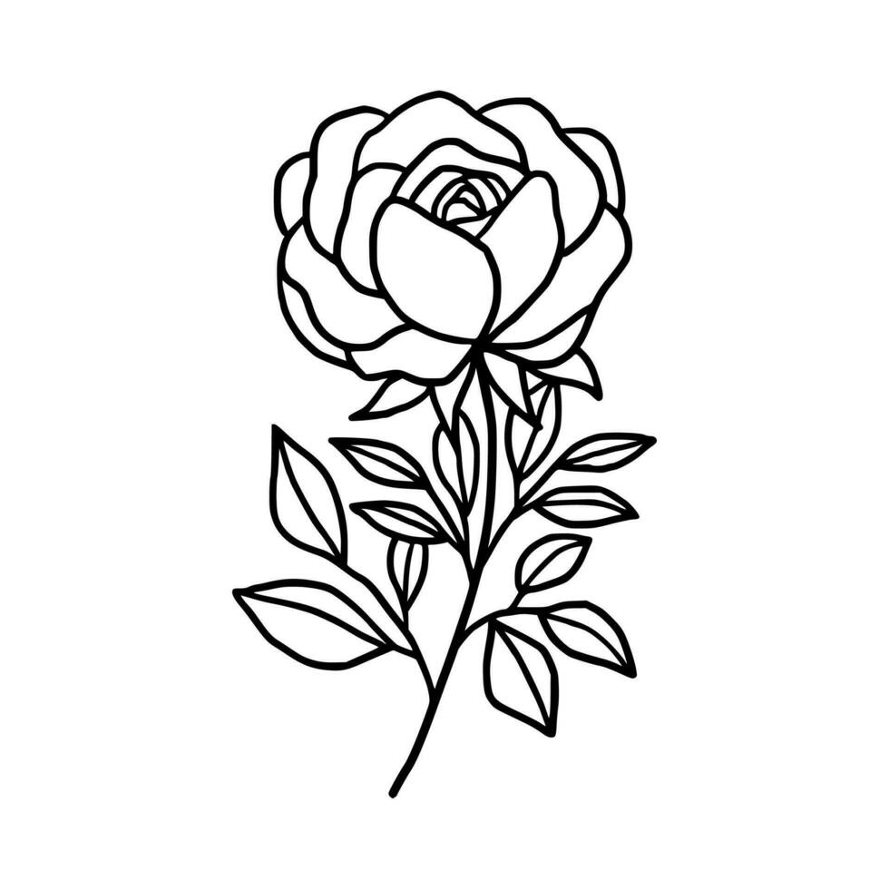 Vintage hand drawn rose floral and leaf branch vector line art illustration