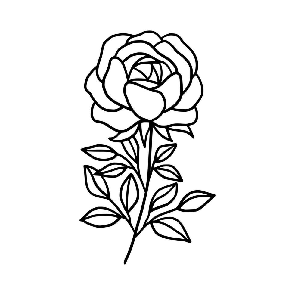 Vintage hand drawn rose floral and leaf branch vector line art illustration