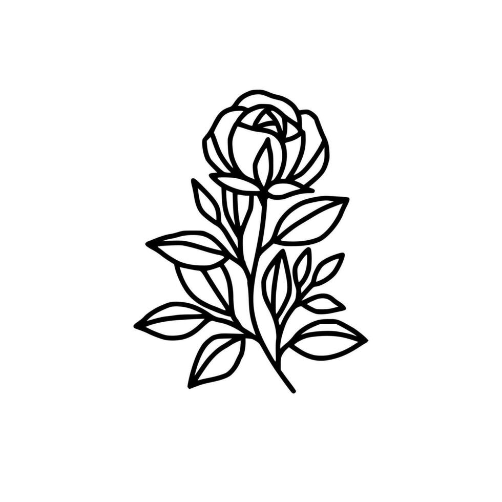 Hand drawn rose flower and leaf branch line art vector illustration design