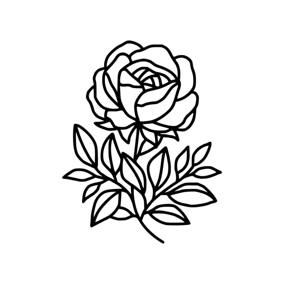 Hand drawn rose flower and leaf branch line art vector illustration design