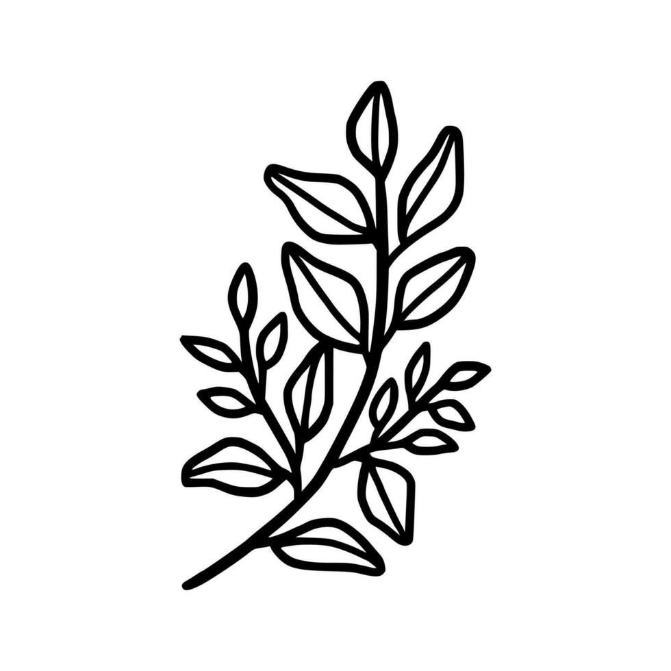 Vintage hand drawn foliage, leaf branch line art vector element