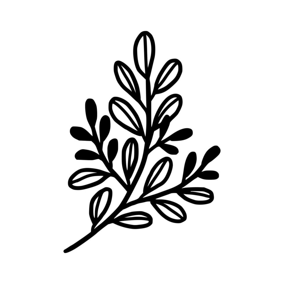 Vintage hand drawn foliage, leaf branch line art vector element